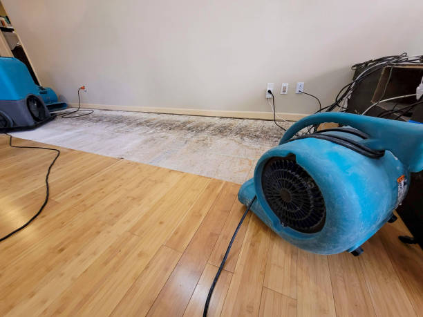 Professional Ceiling Water Damage Repair technician working in Nevada, TX
