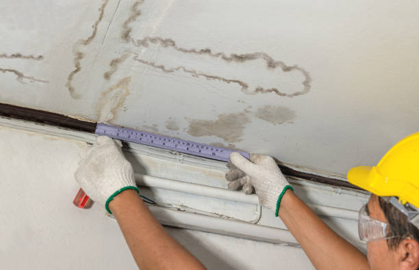 Affordable Ceiling Water Damage Repair solutions in Nevada, TX